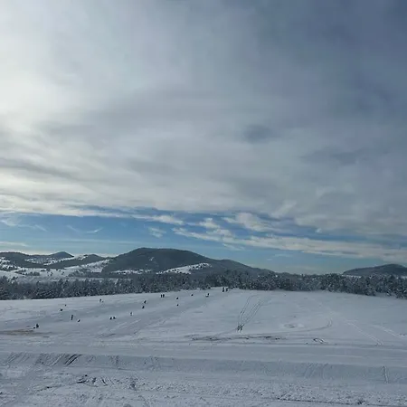 Апартаменты 10 *