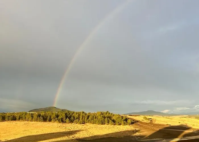 10 ズラティボール